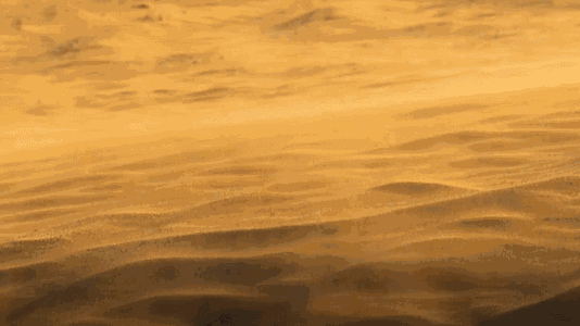 沙漠gif